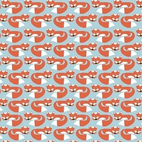 Foxy - Little Red Foxes on Light Blue