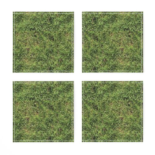 grass_copy