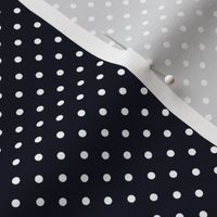 Swiss Dots Black