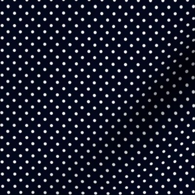 Swiss Dots Black