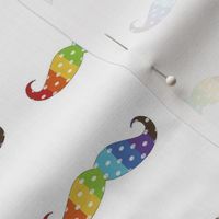 Rainbow Polka-stache