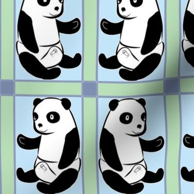 Baby Panda Boy Colours