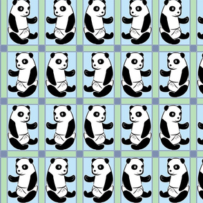 Baby Panda Boy Colours