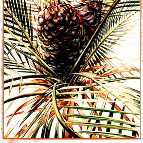 salida palm