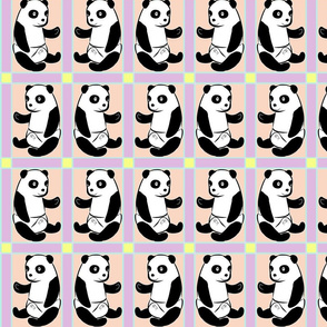 Baby Panda Girl Colours