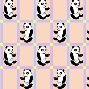 Baby Panda Girl Colours