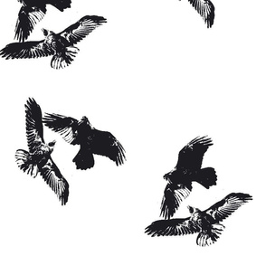 large_ravens