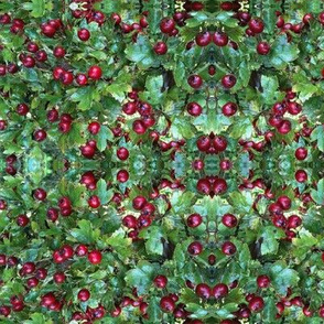 Christmas Kaleidoscope