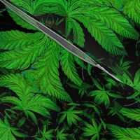 Weed Leaf Fractal 