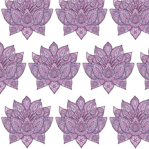 Lilac Lotus