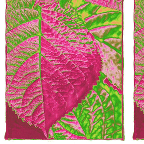 Pink_Leaf