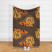 2 monarch butterfly insects wings