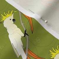 Cockatoo and leaves