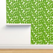 mod_citrus_leaves_lime_outline_on_white