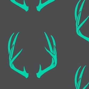 teal antlers