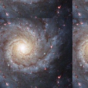 M74