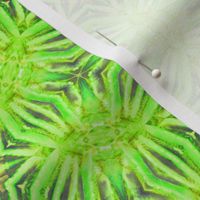 Lime Coral Kaliedoscope