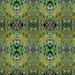 Abstract Allium