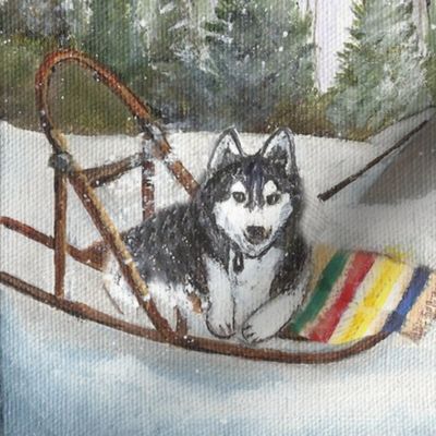 siberian husky camp dave 21x17