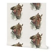 The Equestrian & The Horse 18" pillow square