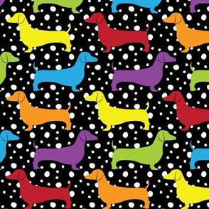 Rainbow Dotted Doxies (Dark)