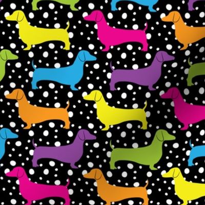 Rainbow Dotted Doxies (Dark)