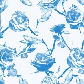 Photo of Roses Pattern (blue)