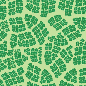 Mod_Leaf_Cells