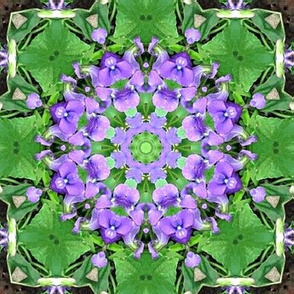 Blue_violet_circle_in_a_square-ed