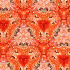 lobster_kaleidoscope