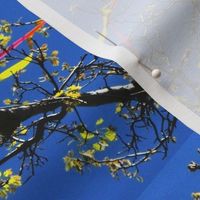 Rainbow Kite Nestled in Tree