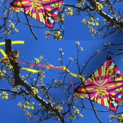 Rainbow Kite Nestled in Tree