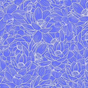 Lotus Madness - Blue