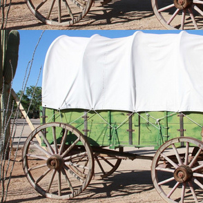 covered_wagon_023