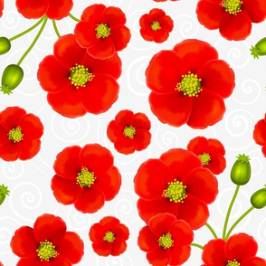 Red poppy flowers