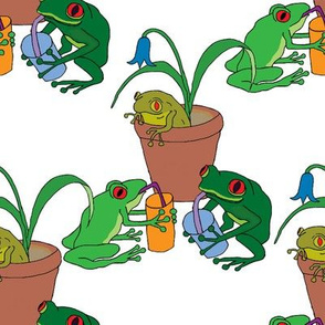 frog party