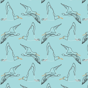 Oyster Catchers Outline