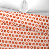 orange_cushionflower