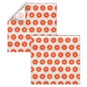 orange_cushionflower