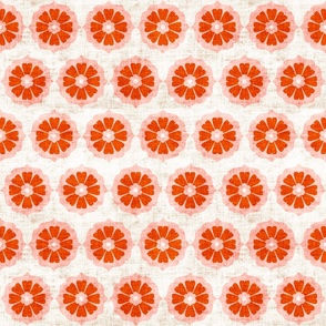 orange_cushionflower