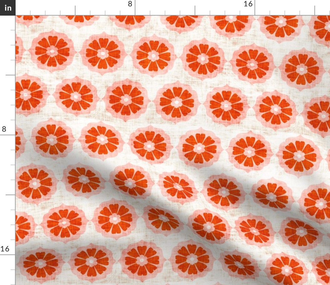 orange_cushionflower