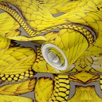 Not So Mellow Yellow Snakes