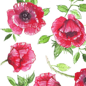 red poppies ink watercolor
