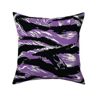 Lady Tigerstripe Camo - Purple Colorway