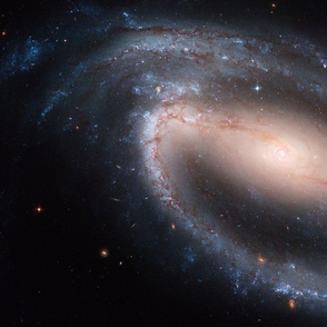 NGC1300