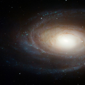 M81