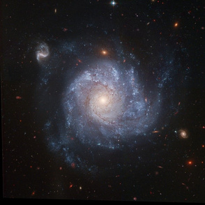 NGC1329