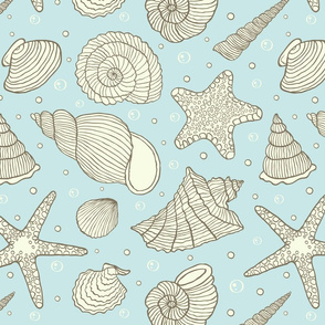 shells