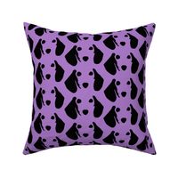 dachshund purple