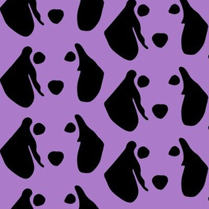 dachshund purple